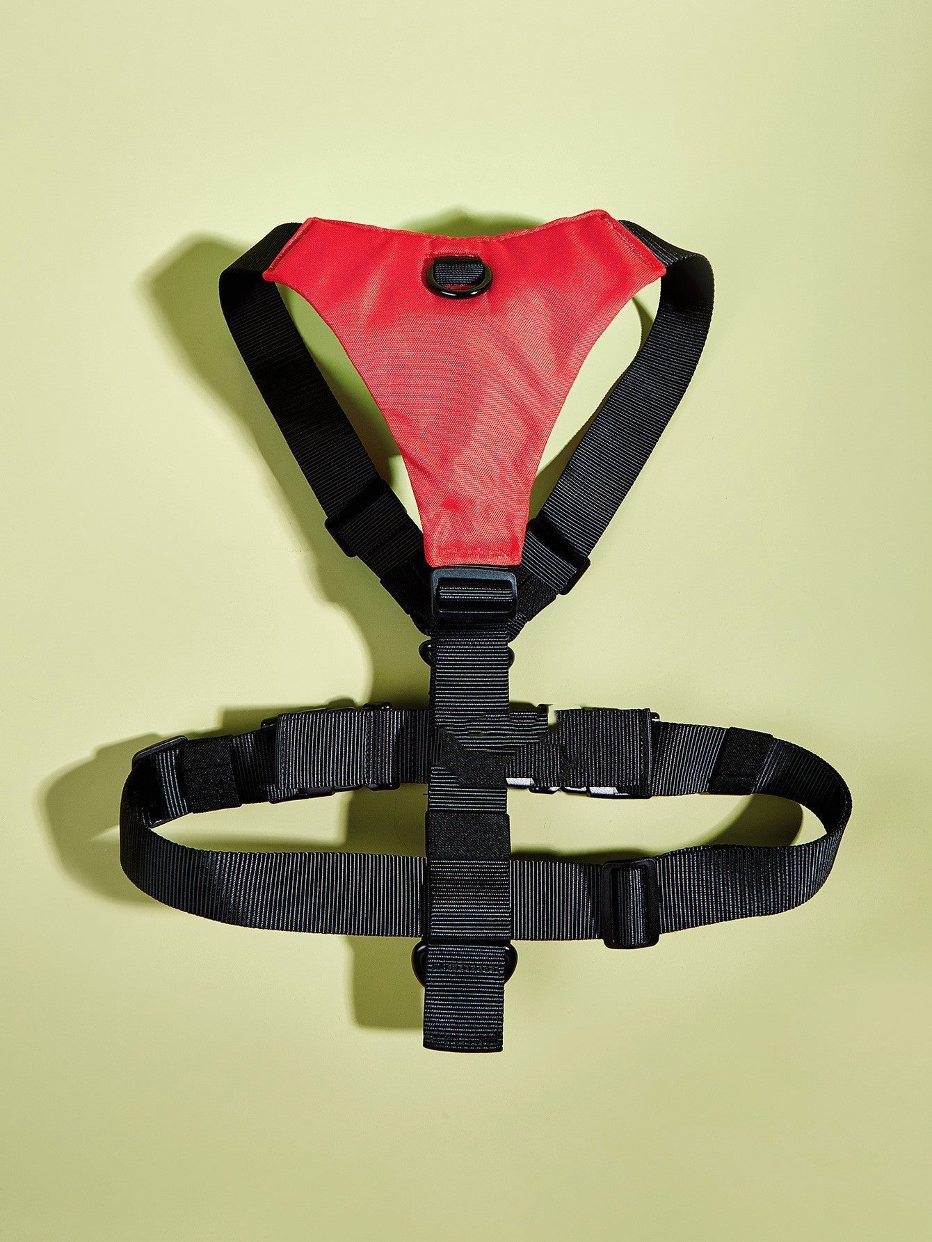 Basic Harness