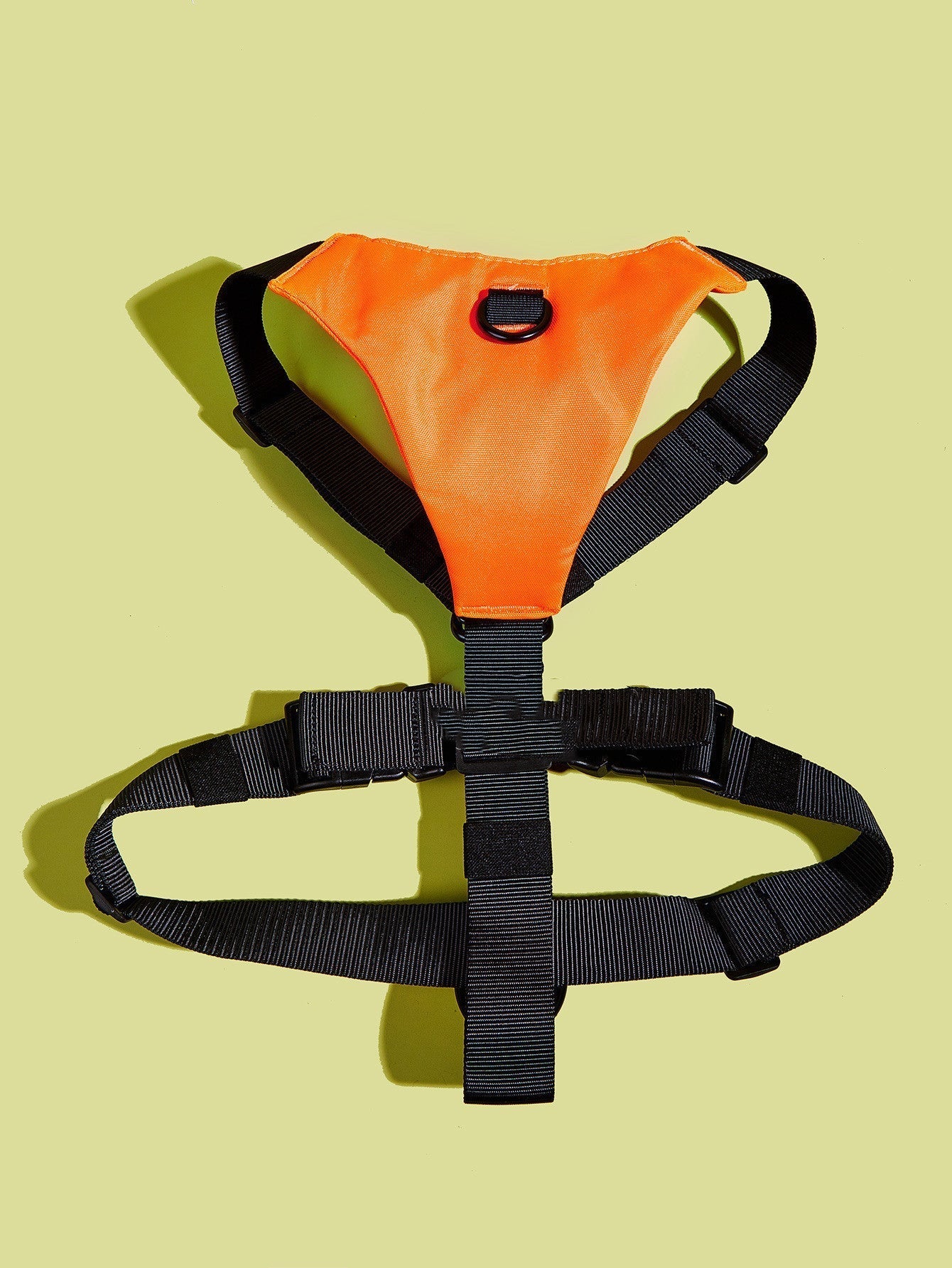 Basic Harness
