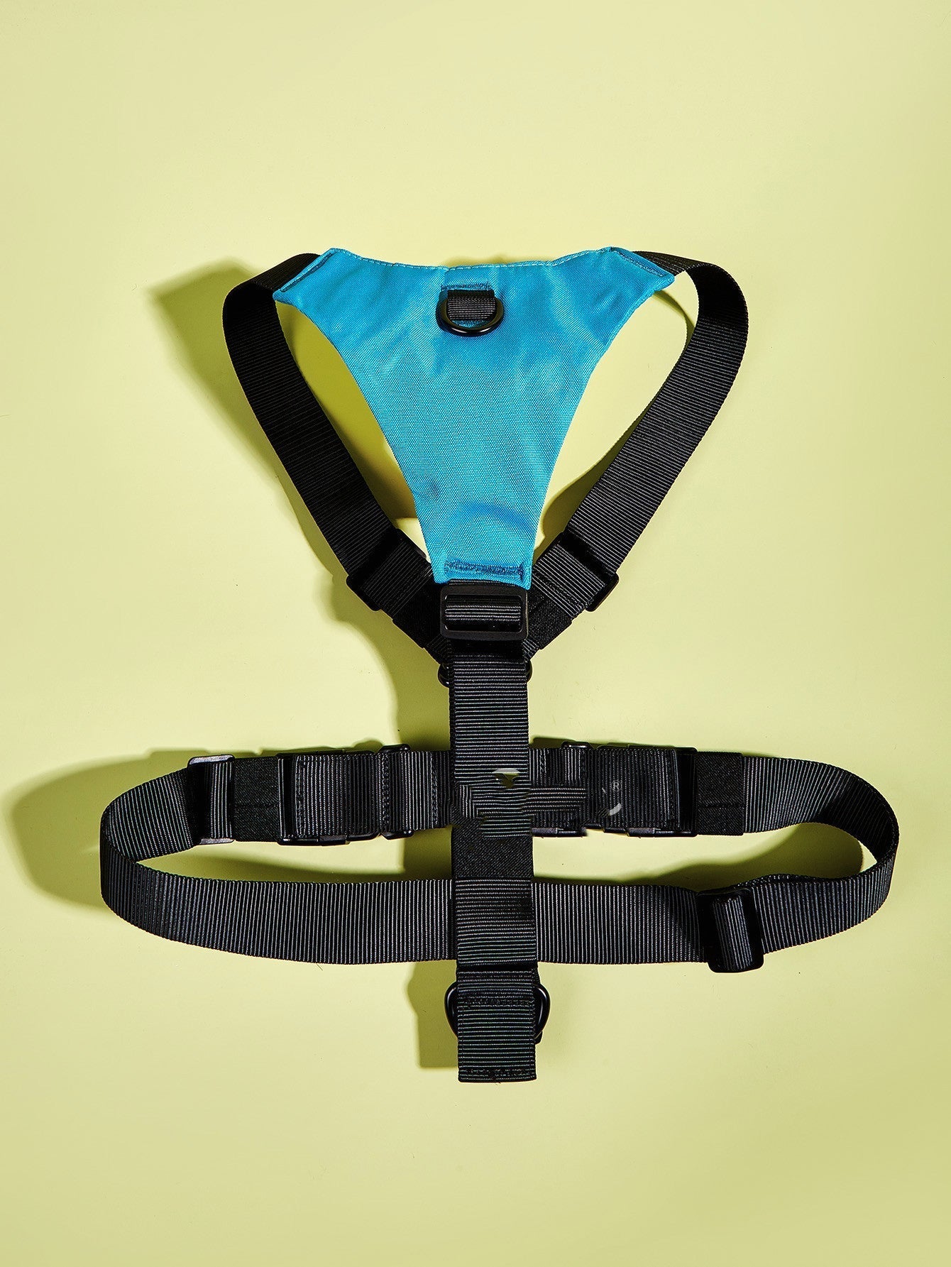 Basic Harness