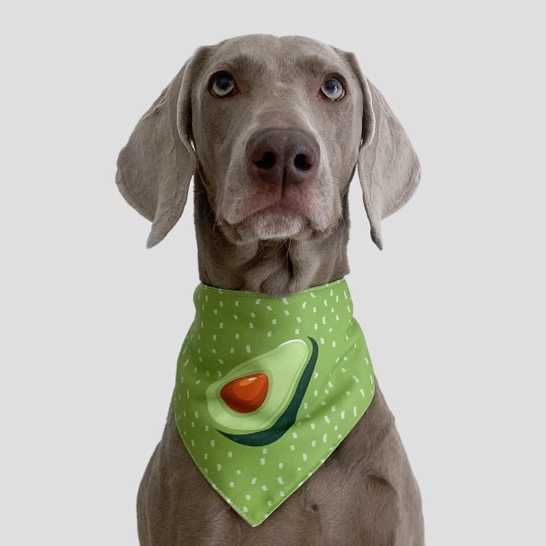 Avocado Schal