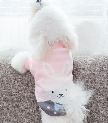 Tiermuster Haustierpullover