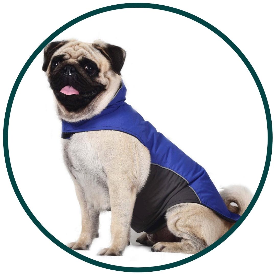 Weste Jacke