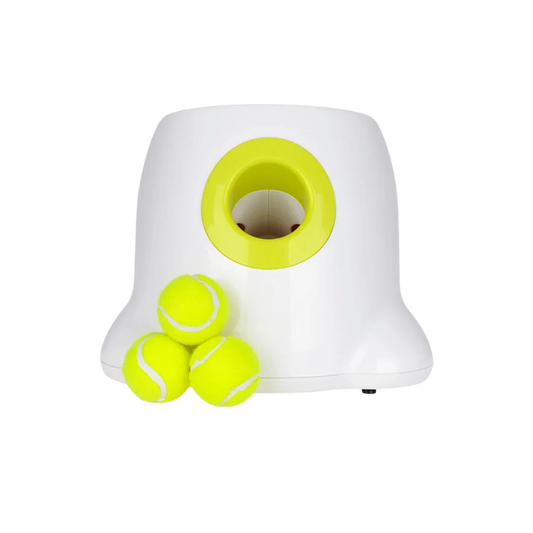 Automatic Dog Ball Launcher