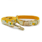 Pineapple Collar and Leash