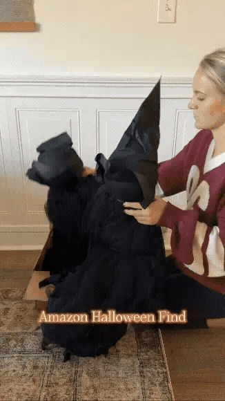 Ventayo – Lighted Halloween Witch Garden Stakes