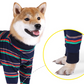 Dog Pyjamas