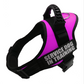 'Service Dog' Harness