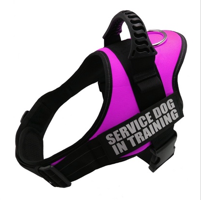 'Service Dog' Harness