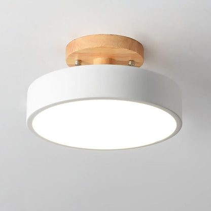 Nordic Circular LED Semi-Flush Mount Ceiling Light