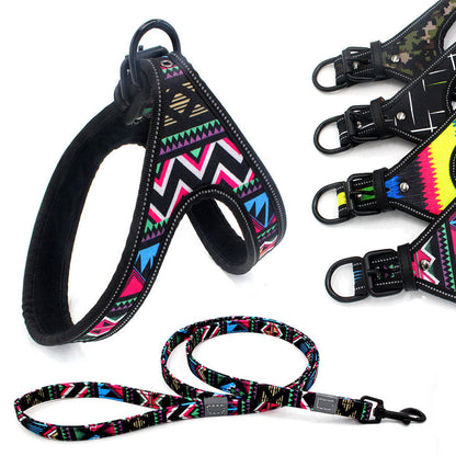 Patterned Harness and Leash
