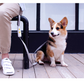 Hands-Free Leash