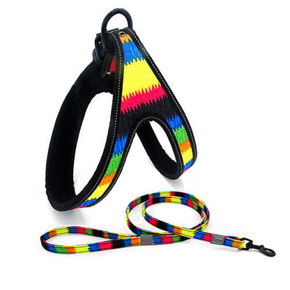 Patterned Harness and Leash