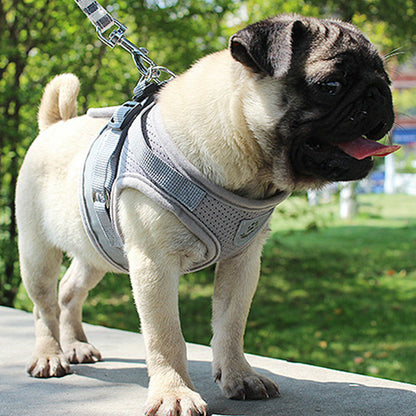 Bouboo Dog Harness And Leash