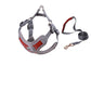 Pet Strap Harness and Traction Rope