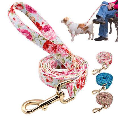 Pattern Leash