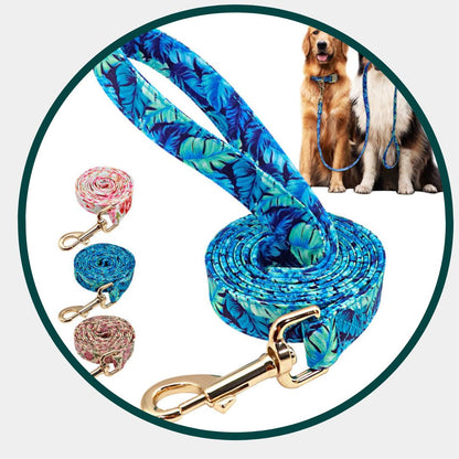 Pattern Leash