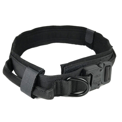Tactical Collar and Leash