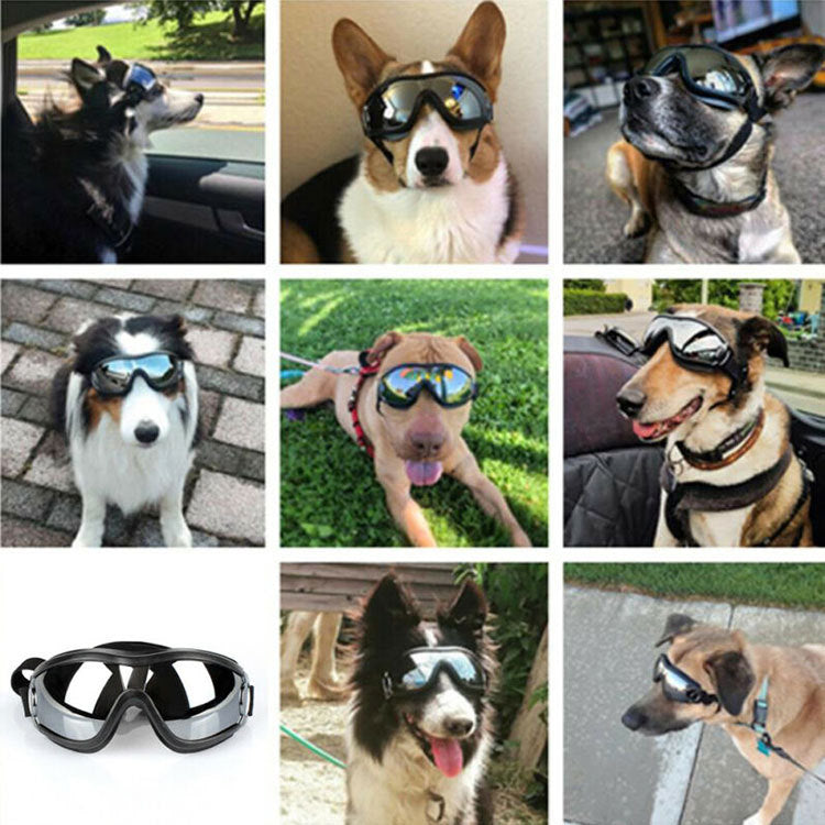 Dog Goggles