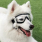Dog Goggles