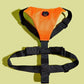 Basic Harness