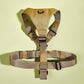 Basic Harness