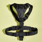 Basic Harness