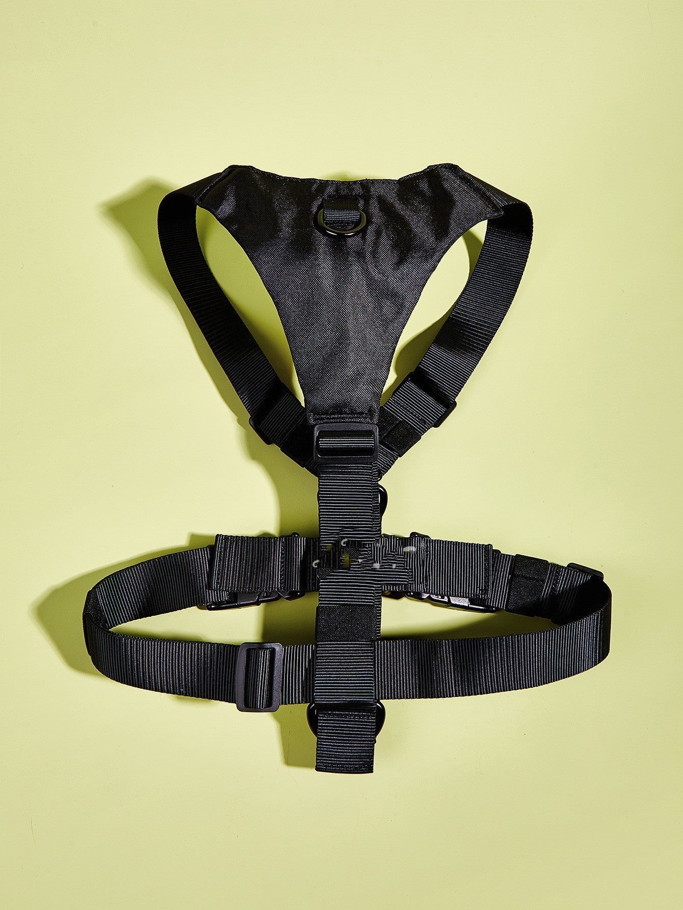 Basic Harness