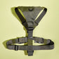 Basic Harness