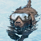 Water Goggles