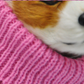Boxed Pattern Sweater