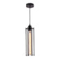 Retro LED Black Iron Industrial Pendant Light