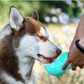 Multi-functional Water Bottle