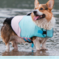 Bouboo All-Season Pet Swimwear