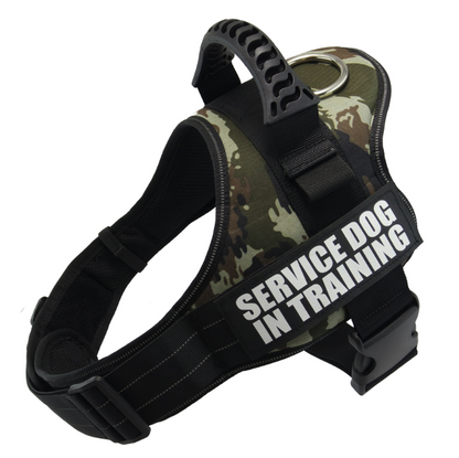 'Service Dog' Harness