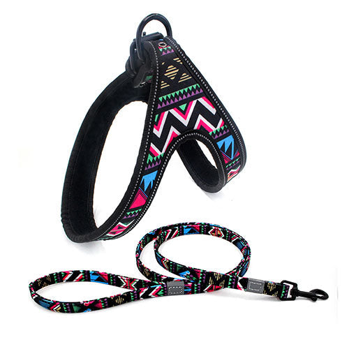 Patterned Harness and Leash