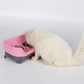 Splashproof Feeding Bowls