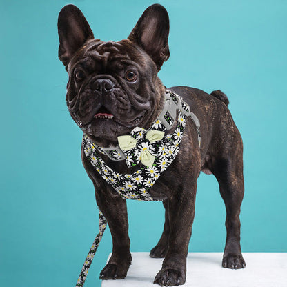 Floral Collar, Leash, and Harness Set