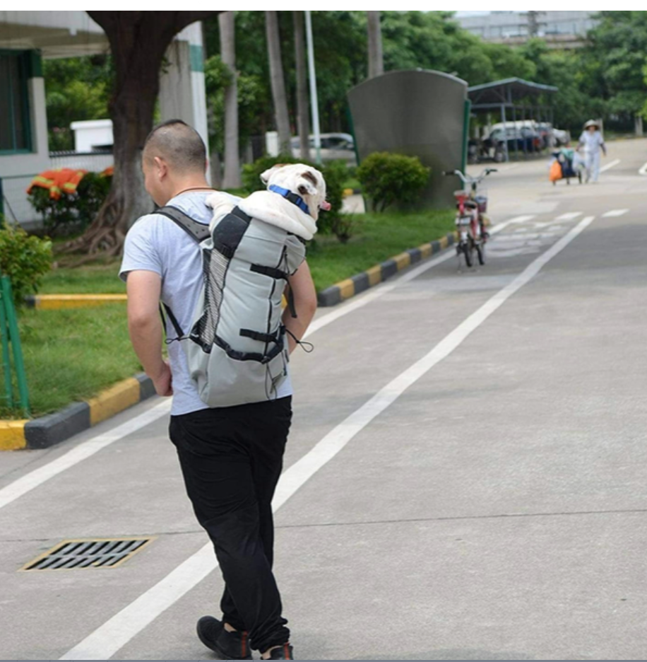 Dog Backpack Sack Carrier