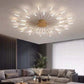 Flush Mount Ceiling Light Fireworks | Living Room/Bedroom