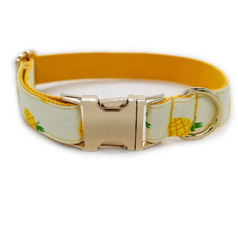 Pineapple Collar and Leash