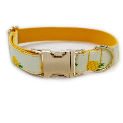 Pineapple Collar and Leash