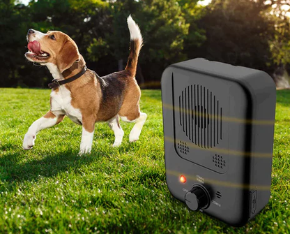 Anti-Bark Device That Trains Your Dog
