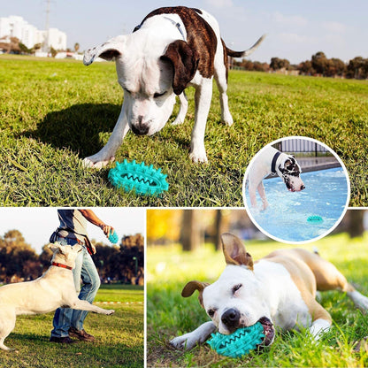 Toothbrush Stick Toy
