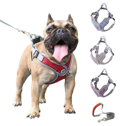 Pet Strap Harness and Traction Rope