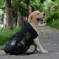 Dog Backpack Sack Carrier