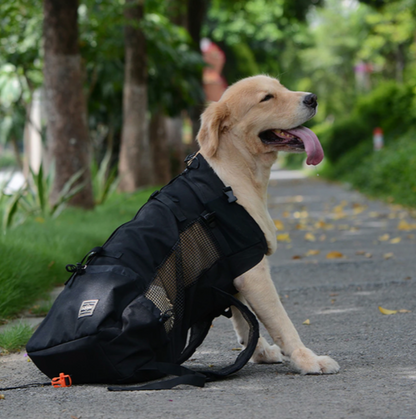Dog Backpack Sack Carrier