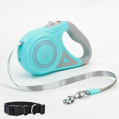Light Leash and Collar
