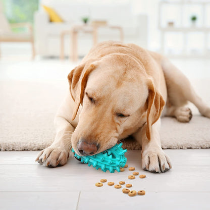 Toothbrush Stick Toy