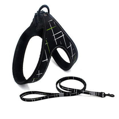 Patterned Harness and Leash