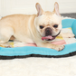 Pet Silk Cooling Mat